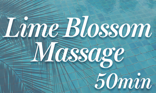 06 500X300 Spa Card