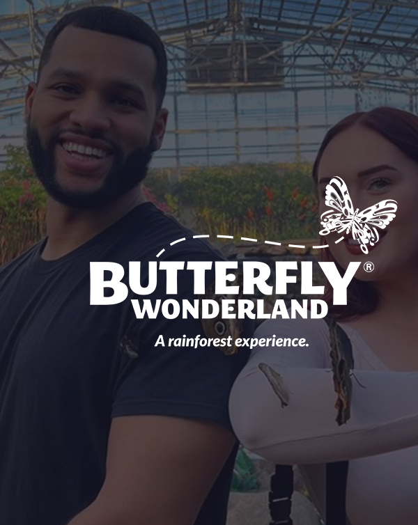 Poster for Butterfly Wonderland