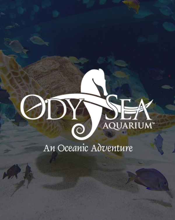 Poster for Odysea Aquarium: An Oceanic Adventure